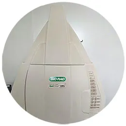 Bio Pharma Services
