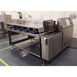 Hydra Multi-lane Checkweigher
