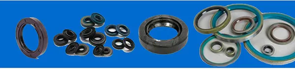 Oil Seals