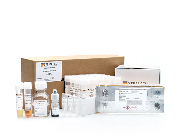 MegaCult-C Complete Kit Without Cytokines