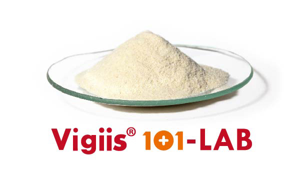 Probiotic Ingredients - Vigiis