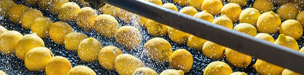 Food & Beverage Processing Facility Flooring