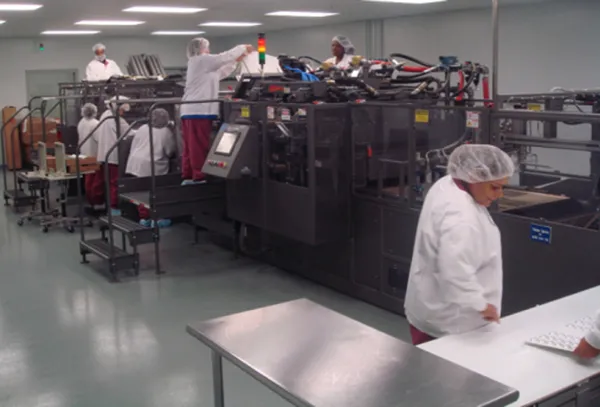 Zed In-Line Conveyor Card Sealer