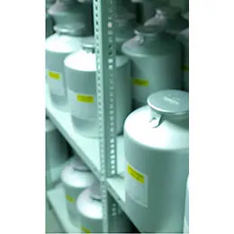 Cortico steroid API