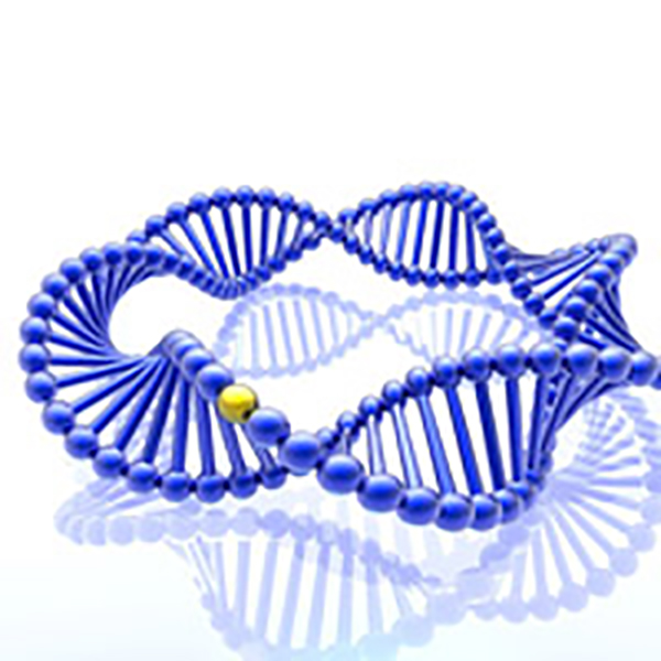 DNA ligation kits