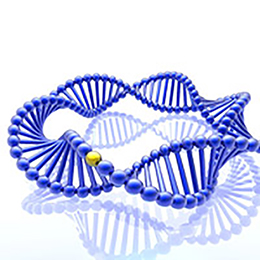 DNA ligation kits