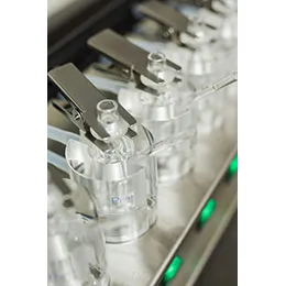 PHARMACEUTICAL FORMULATION