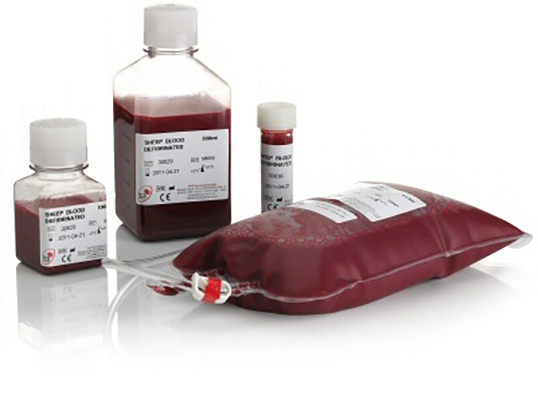 Donor Sheep Blood