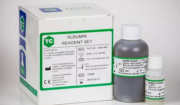 Albumin