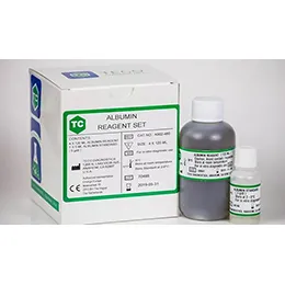 Albumin