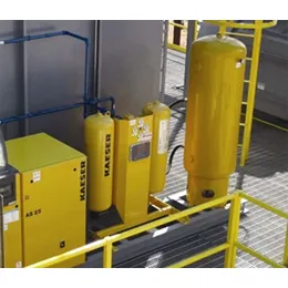 Ancillary Systems