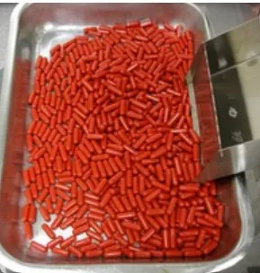 Clinical and Commercial Manufacturing