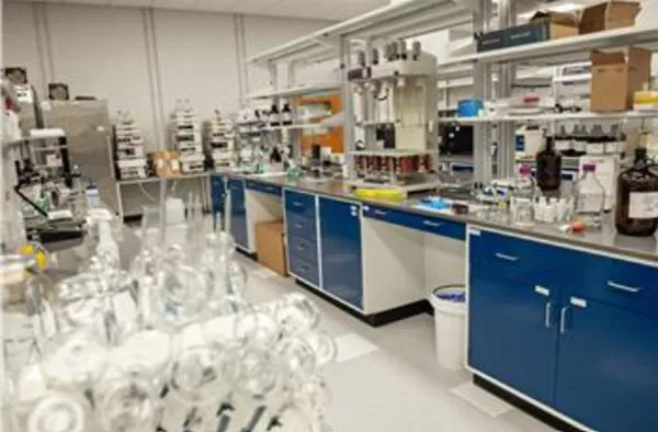 Drug Formulation Development