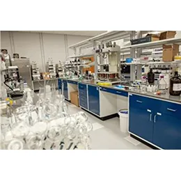 Drug Formulation Development