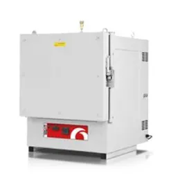 CLEAN ROOM OVENS