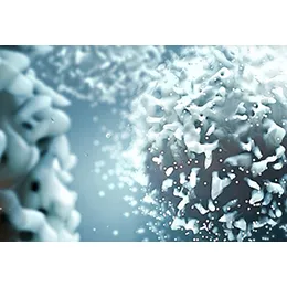 Oncolytic Virus