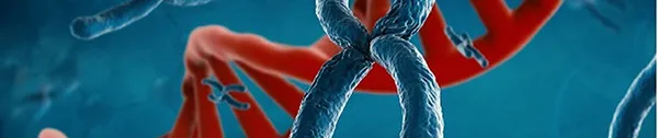 Genotoxicity
