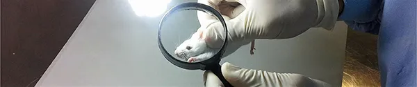 Irwin Test