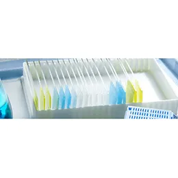 General Toxicology