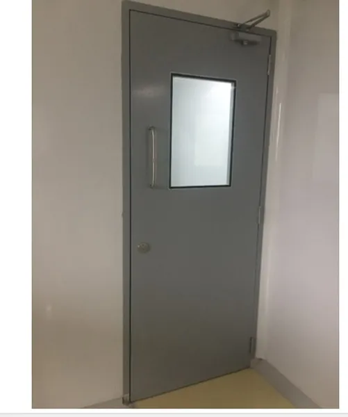 Modular Clean Room Door