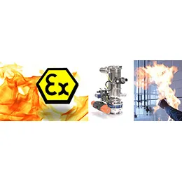 Inert Explosion-Proof (INEX) Vacuum Conveyors