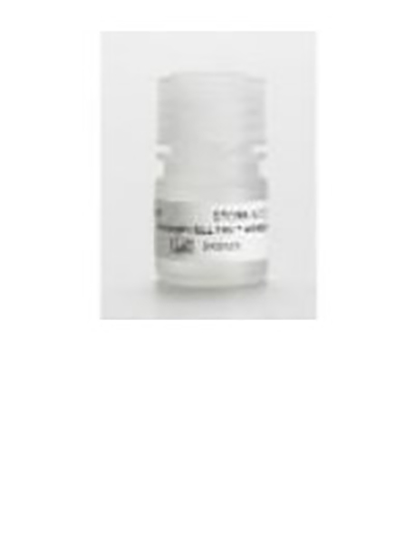 Cell and Tissue Adhesive Corning