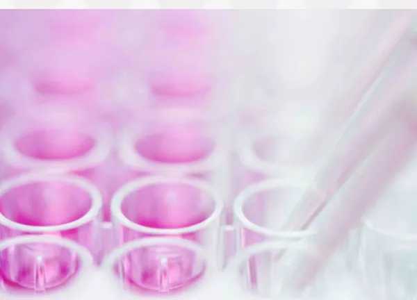 Preclinical