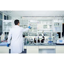 Formulation Development