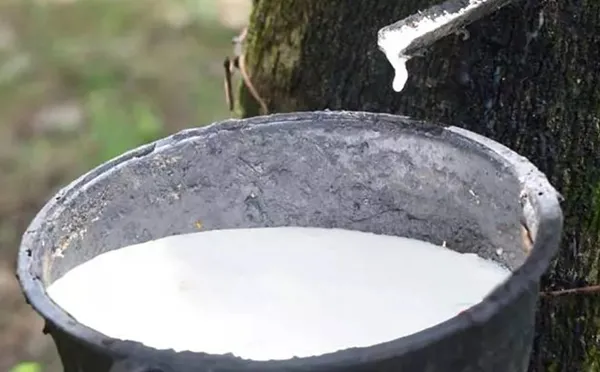 Rubber