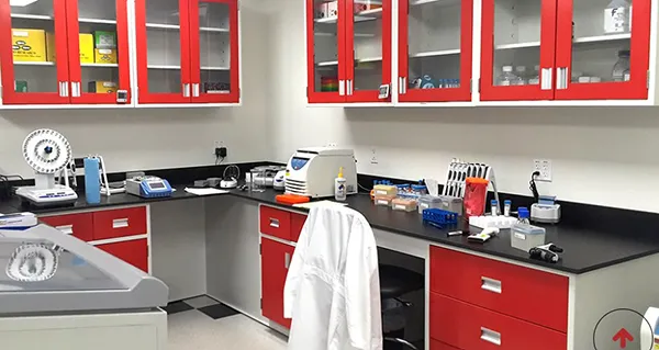 BASE LAB CABINETS