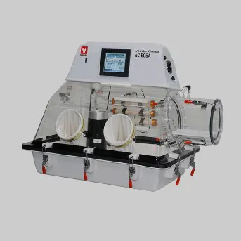 Anaerobic Chambers