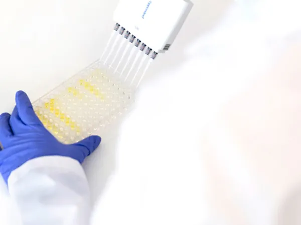 ANTIBODY DISCOVERY