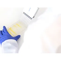 ANTIBODY DISCOVERY