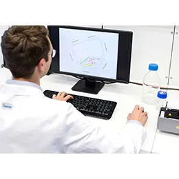 ANTIBODY ENGINEERING
