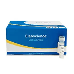 14-3-3 epsilon Polyclonal Antibody