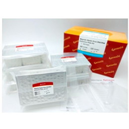 Geneaidª Maxi Plasmid Kit (Endotoxin Free)