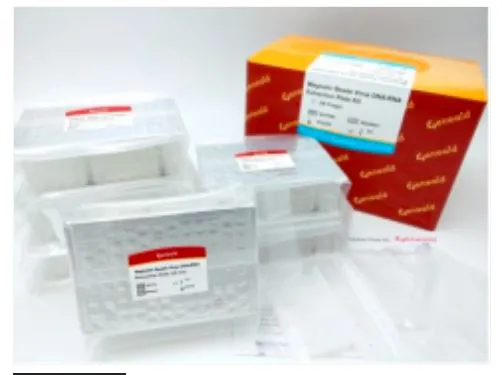 Geneaidª Maxi Plasmid Kit