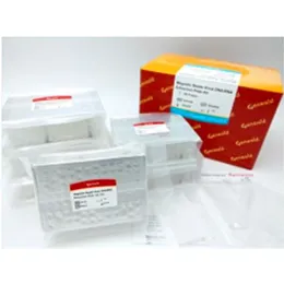 Geneaidª Maxi Plasmid Kit PLUS