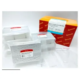 Geneaidª Maxi Plasmid Kit